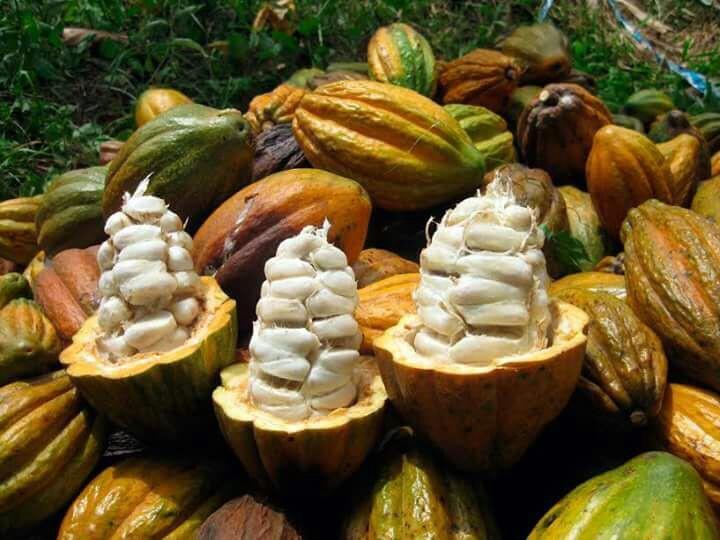 نزل Maranuraفي El Mangal المظهر الخارجي الصورة